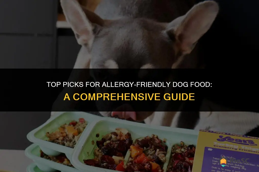 best anallergenic dog food