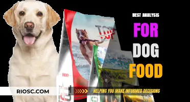 Decoding the Best: A Comprehensive Analysis of Top Dog Food Choices