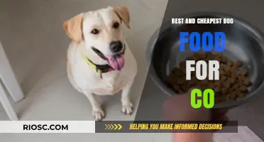 Affordable Nutrition: Top Dog Food Picks for Cost-Conscious Pet Owners