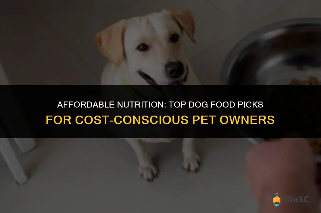 best and cheapest dog food for co