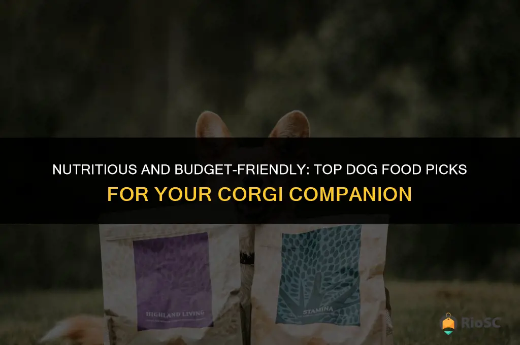 best and cheapest dog food for corgis