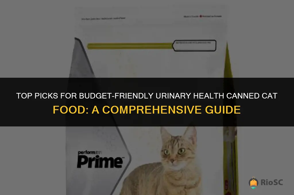 best and cheapest urinary canned cat food
