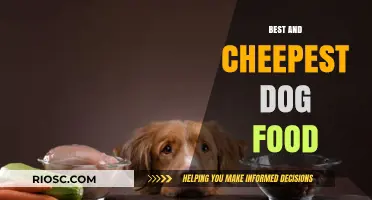 Affordable Nutrition: Unveiling the Best Budget-Friendly Dog Food Options