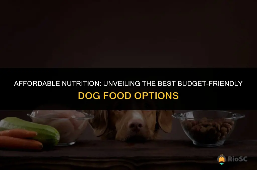 best and cheepest dog food