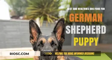 Nourishing Growth: The Ultimate Guide to the Best and Healthiest Dog Food for German Shepherd Puppies