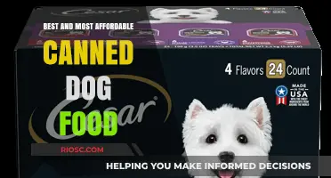 Top-Rated Budget-Friendly Canned Dog Food Options