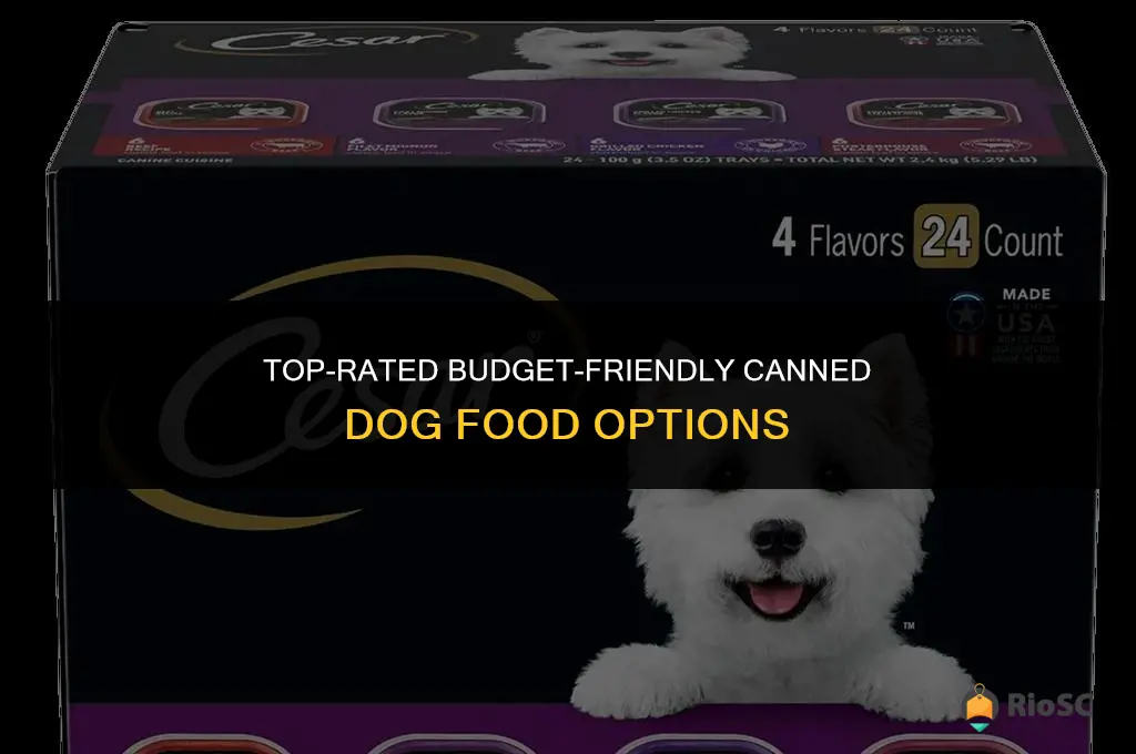 best and most affordable canned dog food