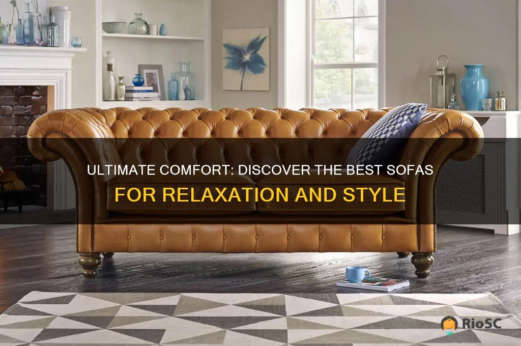 best and most comfortable sofas