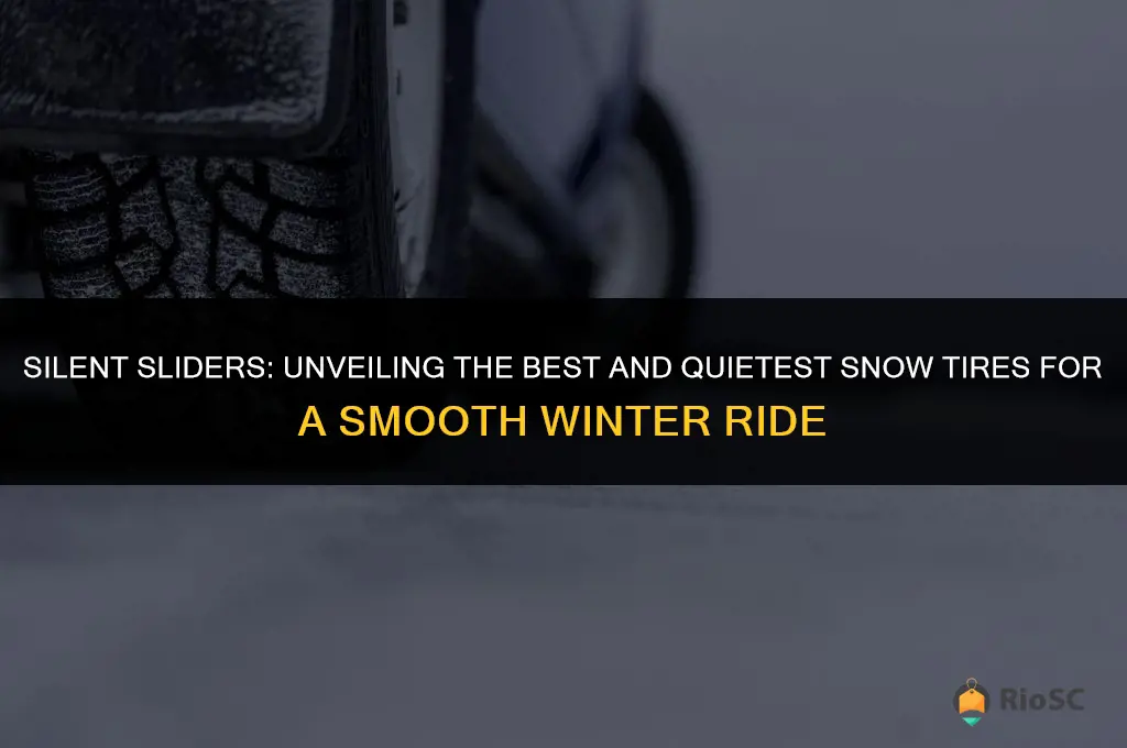 best and quietest snow tires