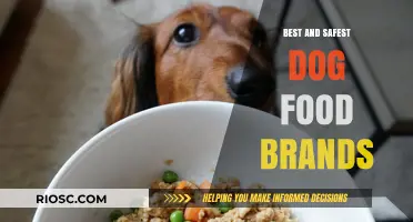 Top-Rated Dog Food Brands for Optimal Health and Safety