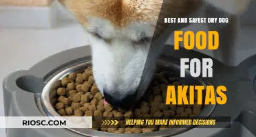 Top Picks for Healthy and Secure Dry Dog Food Options for Akitas