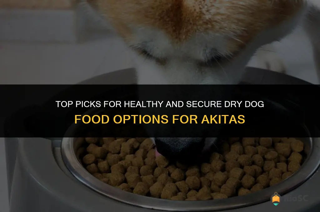 best and safest dry dog food for akitas