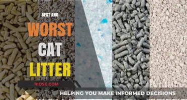 Purr-fect Choices vs. Claw-ful Mistakes: The Best and Worst Cat Litter Options for Your Feline Friend