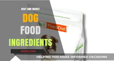 Decoding Doggy Diets: The Good, The Bad, and The Ugly Ingredients