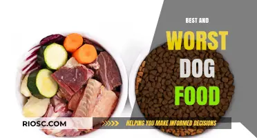 Paws and Reflect: The Good, the Bad, and the Ugly of Dog Food Choices