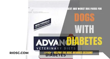 Navigating Nutrition: Top Picks and Pitfalls in Dog Food for Diabetic Dogs