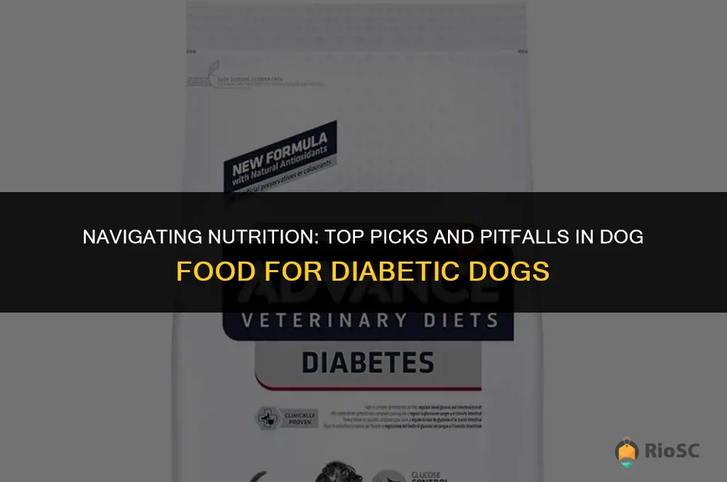 best and worst dog foods for dogs with diabetes