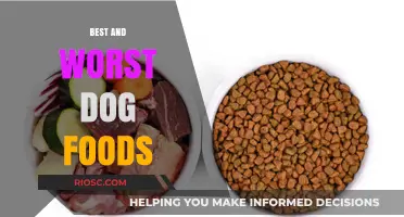 Decoding Canine Cuisine: A Comprehensive Guide to the Best and Worst Dog Foods