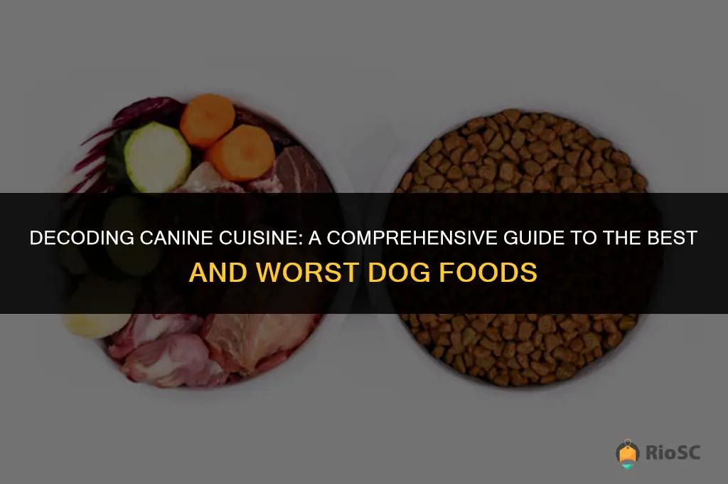 best and worst dog foods