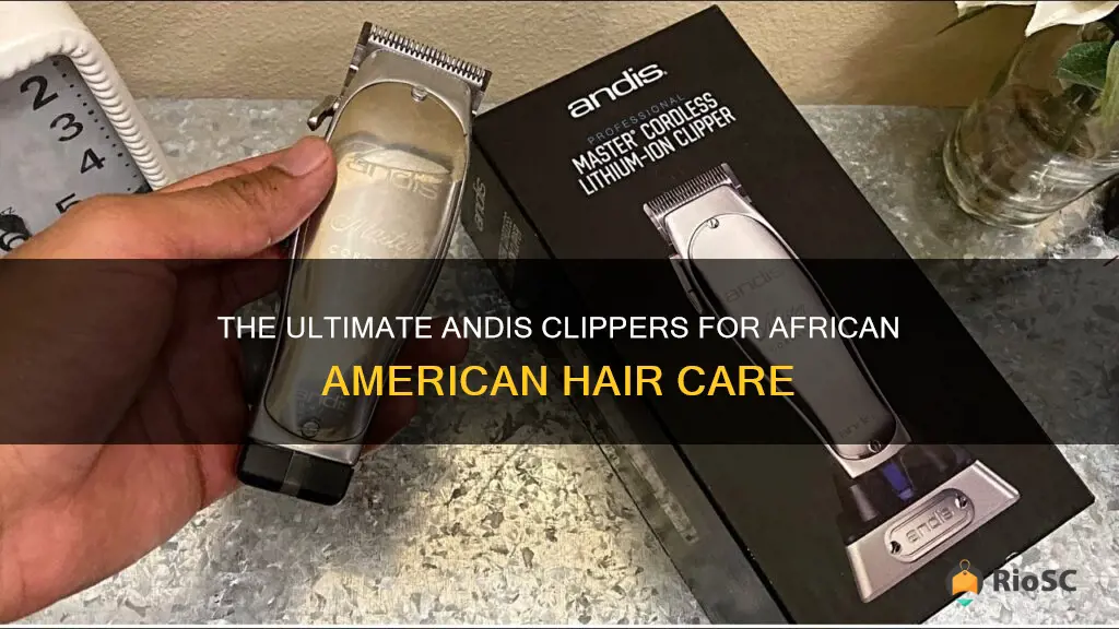 best andis clippers for african american hair