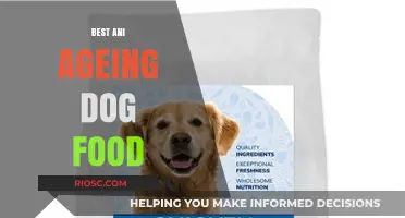 Top Picks for Your Senior Companion: The Best Anti-Aging Dog Foods
