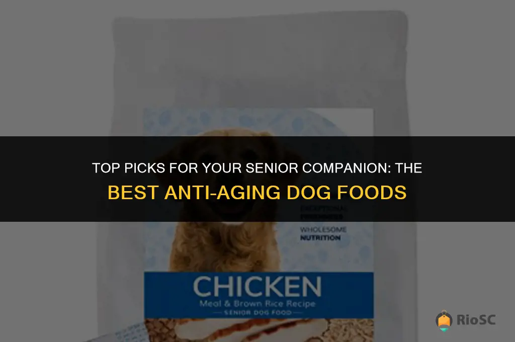 best ani ageing dog food