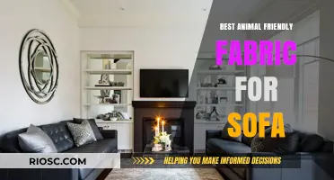 Eco-Chic Comfort: Top Animal-Friendly Fabrics for Your Sofa