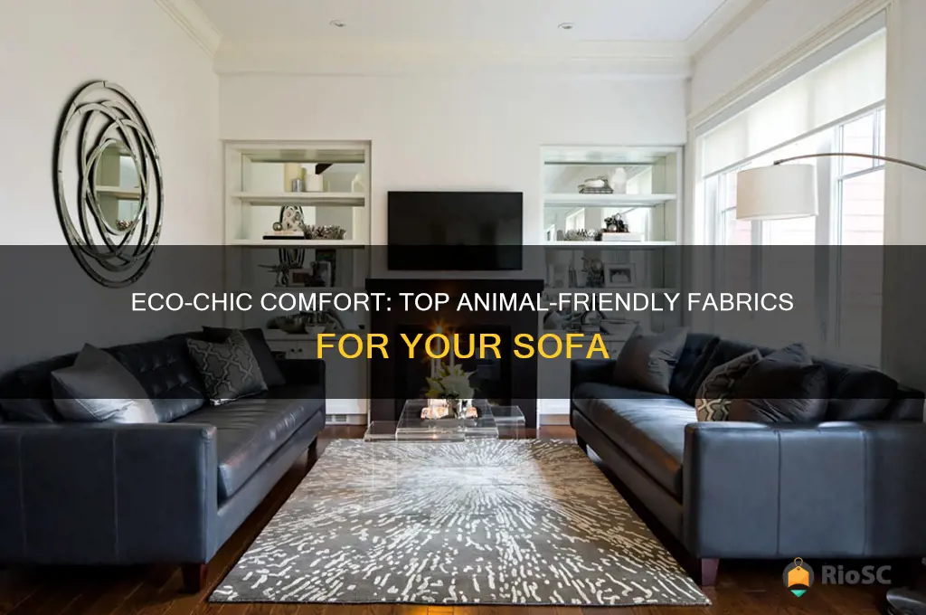 best animal friendly fabric for sofa