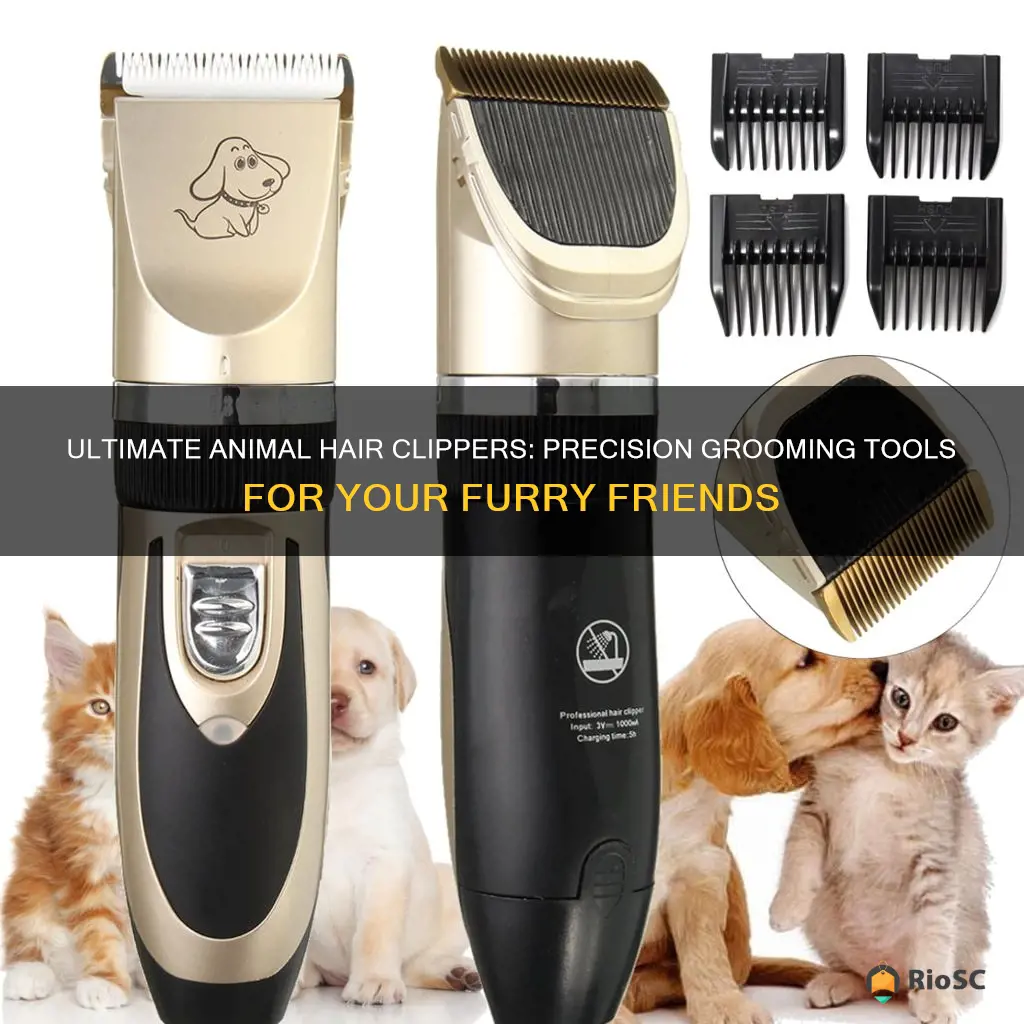 best animal hair clippers