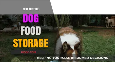 Effective Strategies for Ant-Free Dog Food Storage: Keeping Your Pet's Meals Safe and Fresh