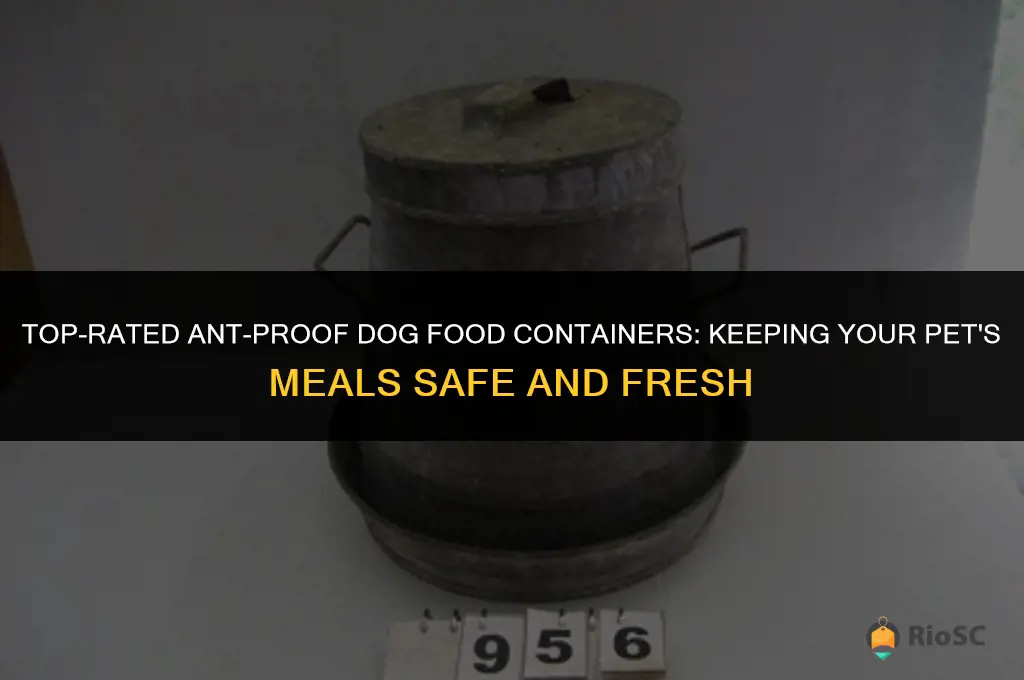 best ant proof dog food container