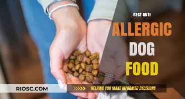 Top Picks for Allergy-Friendly Dog Food: A Comprehensive Guide