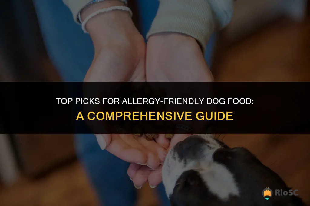 best anti allergic dog food