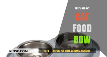 Top Picks for Anti-Ant Cat Food Bowls: Keeping Your Feline's Meals Pest-Free
