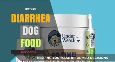 Top Picks for Soothing Your Dog's Upset Stomach: The Best Anti-Diarrhea Dog Foods