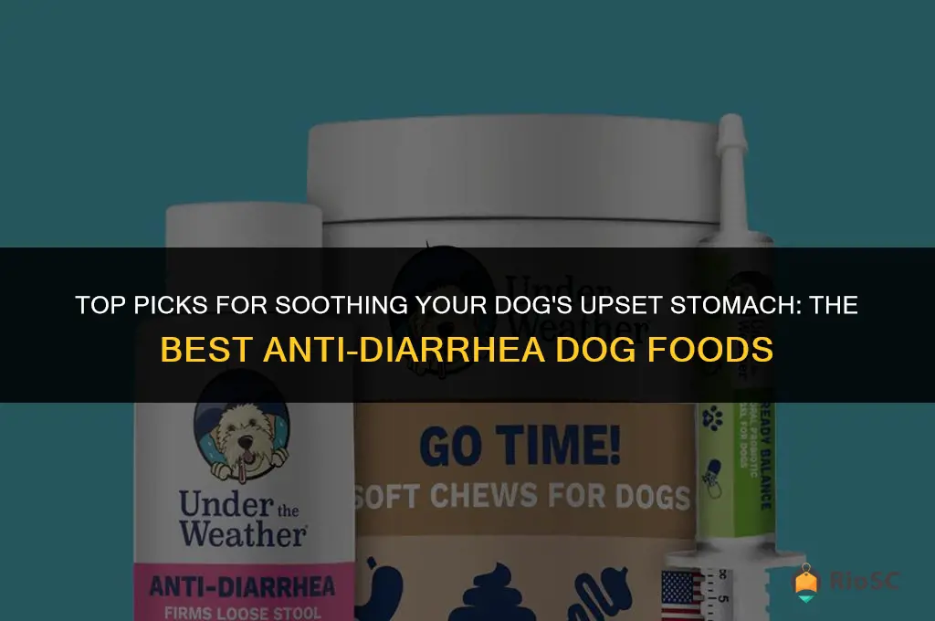 best anti diarrhea dog food