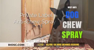 Effective Solutions: Top Anti-Dog Chew Sprays to Protect Your Belongings