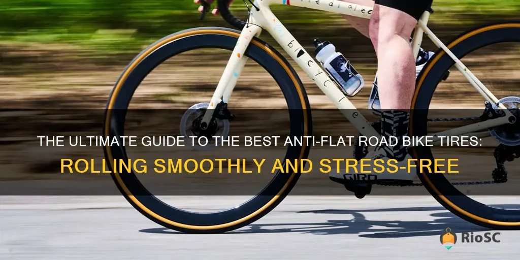 best anti flat road bike tires