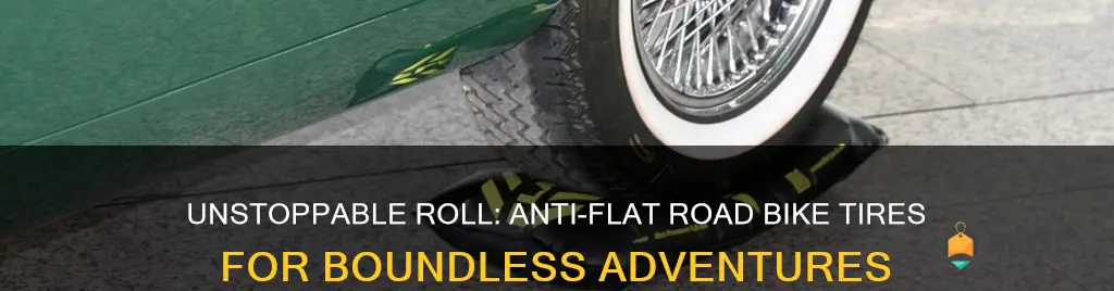 best anti flat road bike tires