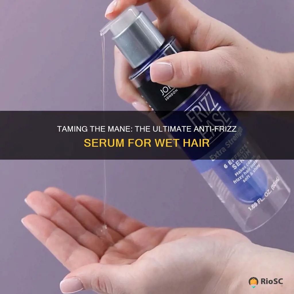 best anti frizz serum for wet hair