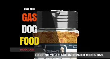 Digestive Delight: Top Anti-Gas Dog Food Options for a Happier, Healthier Pup