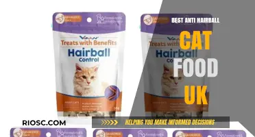 Top Picks for Anti-Hairball Cat Food in the UK: Keep Your Feline Friend Healthy and Happy