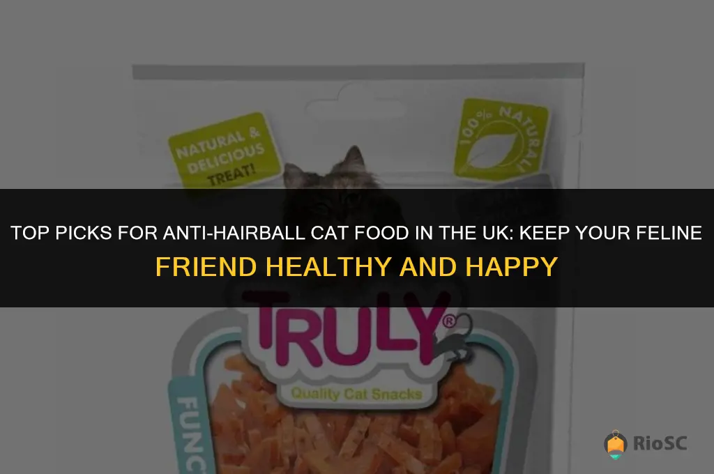 best anti hairball cat food uk