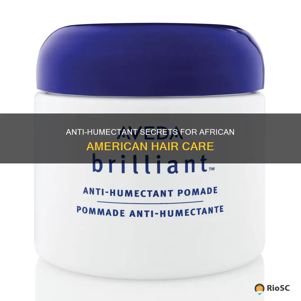 best anti humectant for african american hair