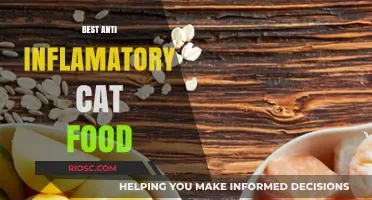 Top Picks for Anti-Inflammatory Cat Food: Soothing Your Feline's Diet