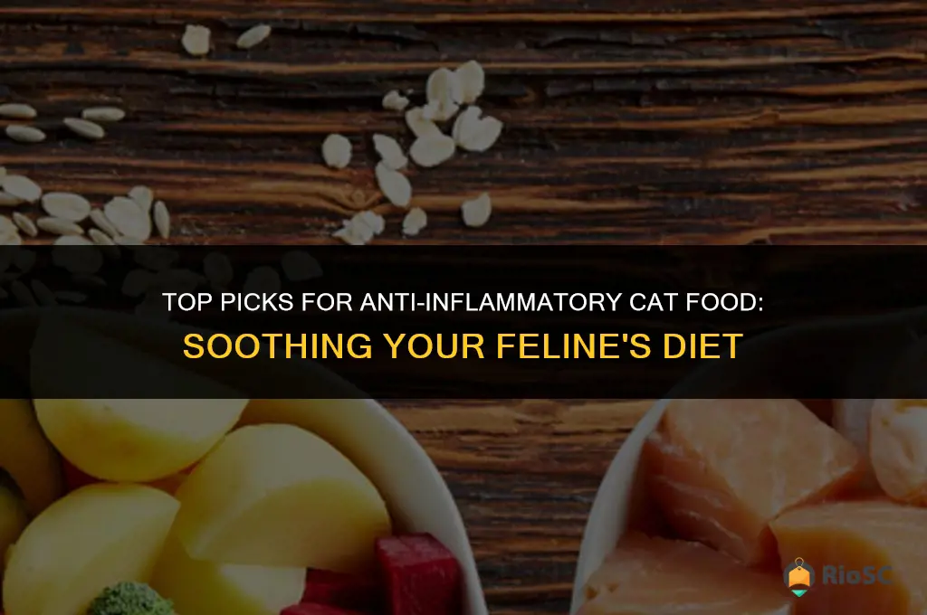 best anti inflamatory cat food