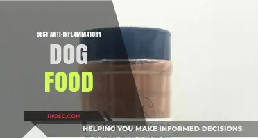 Top Picks for Anti-Inflammatory Dog Food: Soothing Your Pup's Ailments