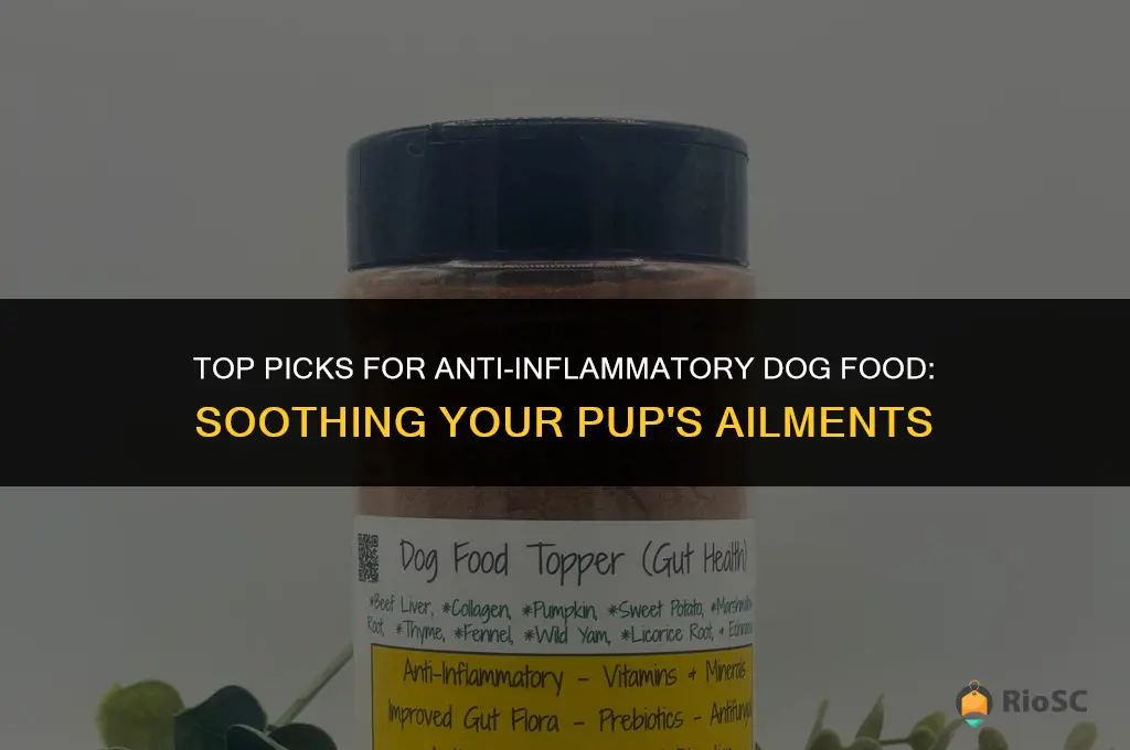 best anti-inflammatory dog food