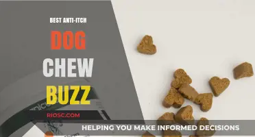 Relieve Your Dog's Itch: Top Anti-Itch Chew Treats for Happy, Healthy Skin