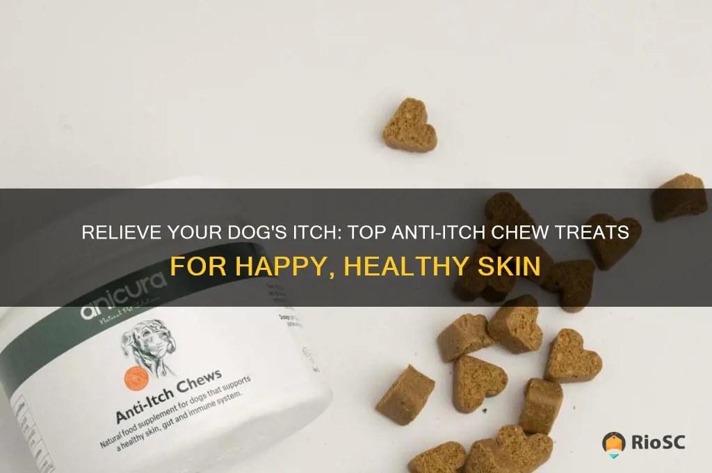 best anti-itch dog chew buzz